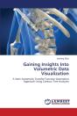 Gaining Insights Into Volumetric Data Visualization - Preview