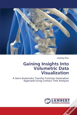 Capa do artigo Gaining Insights Into Volumetric Data Visualization
