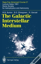 Galactic Interstellar Medium