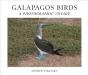 Galapagos Birds - Preview