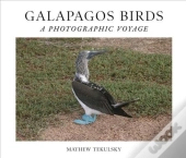 Galapagos Birds