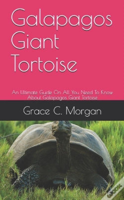 Capa do artigo Galapagos Giant Tortoise