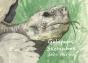 Galapagos Sketchbook - Preview