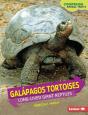 Galapagos Tortoises - Preview