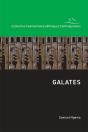 Galates. Commentaire Biblique - Preview