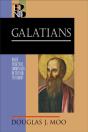 Galatians (Baker Exegetical Commentary On The New Testament) - Preview