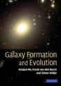 Galaxy Formation And Evolution - Preview