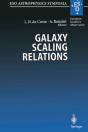 Galaxy Scaling Relations: Origins, Evolution And Applications - Preview