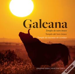 Galeana