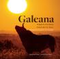 Galeana - Preview
