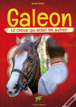 Capa do artigo Galeon