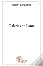 Capa do artigo Galeries De L