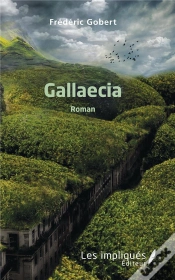 Capa do artigo Gallaecia