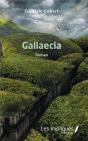 Gallaecia - Preview