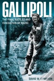 Capa do artigo Gallipoli