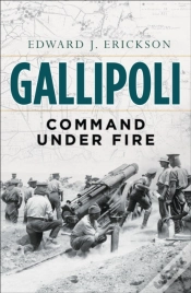 Capa do artigo Gallipoli