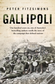 Capa do artigo Gallipoli