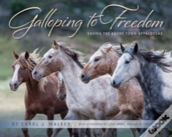 Capa do artigo Galloping To Freedom