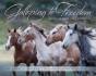 Galloping To Freedom - Preview