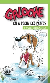 Capa do artigo Galoche En A Plein Les Pattes