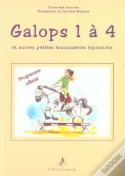 Galops 1 A 4 Et Autres Petites Tracasseries Equestres