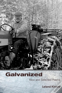 Capa do artigo Galvanized