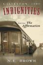 Galveston: 1900: Indignities, Book Four: The Affirmation - Preview