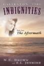 Galveston: 1900: Indignities, Book Two: The Aftermath - Preview
