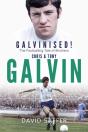 Galvinised - Preview