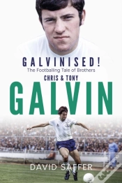 Capa do artigo Galvinised