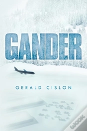 Capa do artigo Gander