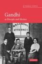Gandhi As Disciple And Mentor - Preview