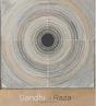 Gandhi In Raza - Preview