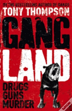 Capa do artigo Gang Land