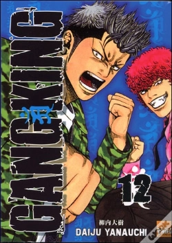 Capa do artigo Gangking T.12
