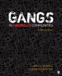 Gangs In Americas Communities - Preview