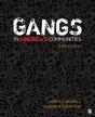 Gangs In Americas Communities - Preview