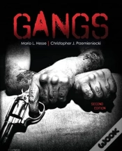 Capa do artigo Gangs