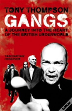Capa do artigo Gangs