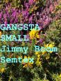 Gangsta Small - Preview