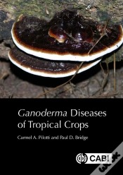 Capa do artigo Ganoderma Diseases Of Tropical Crops