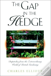 Capa do artigo Gap In The Hedge