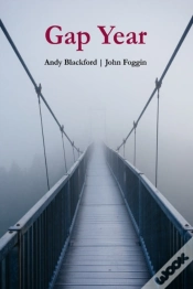 Capa do artigo Gap Year