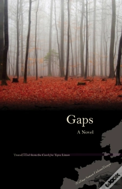 Capa do artigo Gaps