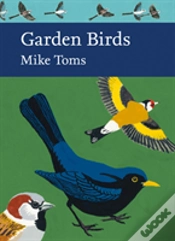 Capa do artigo Garden Birds
