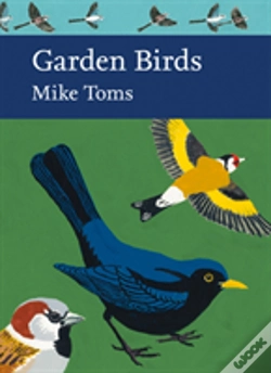 Capa do artigo Garden Birds