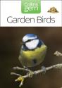 Garden Birds - Preview