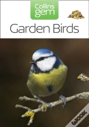 Capa do artigo Garden Birds
