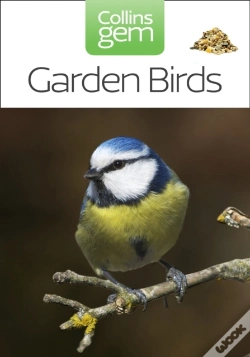 Capa do artigo Garden Birds