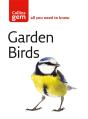 Garden Birds - Preview